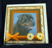 card4